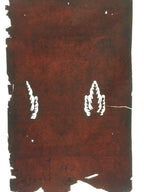 Antique Japanese Katagami Kimono Stencil Katazome Design Pine Leaf C814