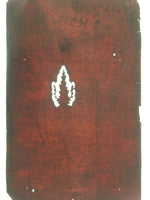 Antique Japanese Katagami Kimono Stencil Katazome Design Pine Leaf C817