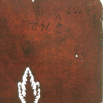 Antique Japanese Katagami Kimono Stencil Katazome Design Pine Leaf C817