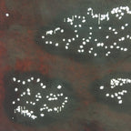 Antique Japanese Katagami Kimono Stencil Katazome Design River Dots C804