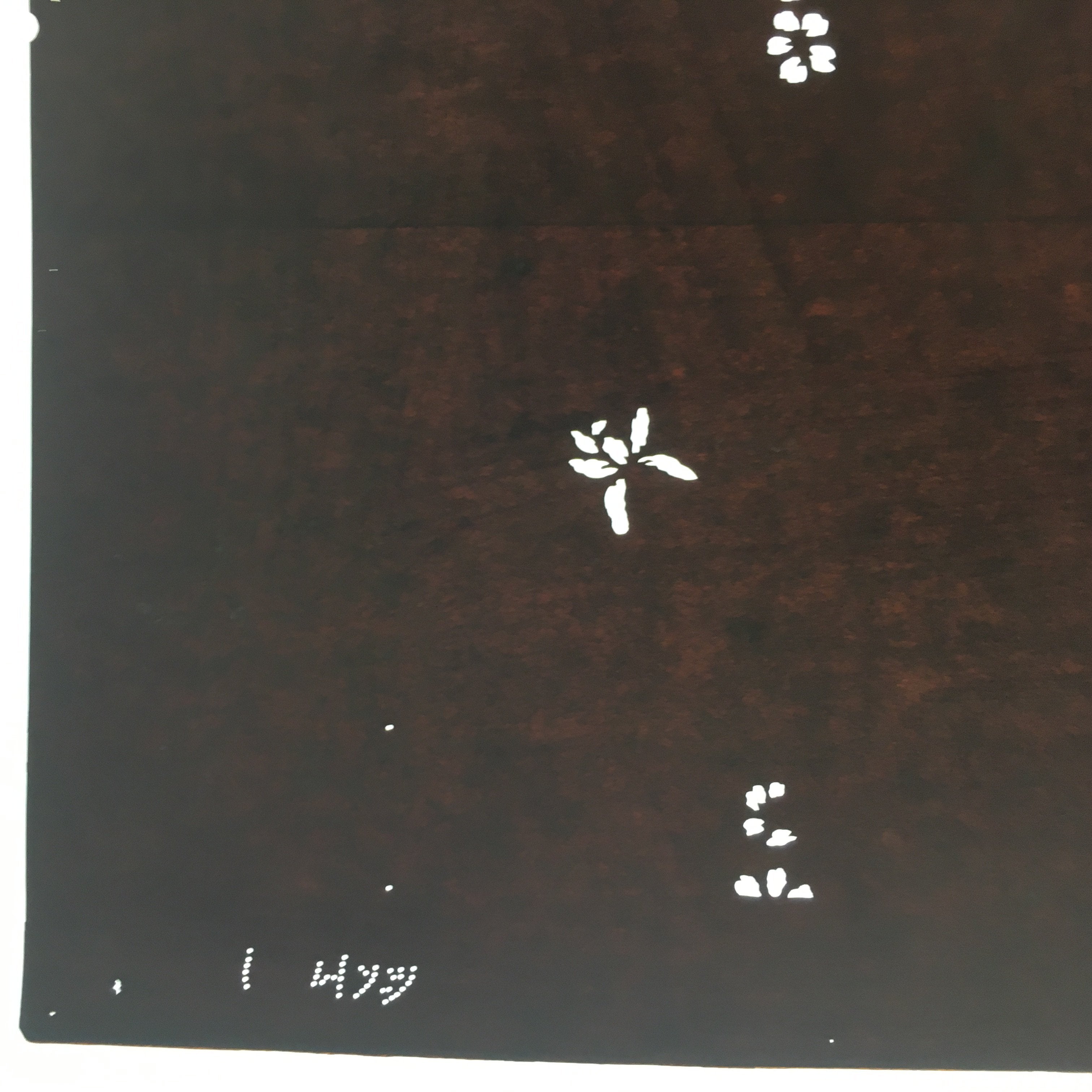 Antique Japanese Katagami Kimono Stencil Katazome Edo Assorted Floral 4Y241