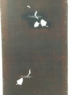 Antique Japanese Katagami Kimono Stencil Katazome Fern Leaf C737