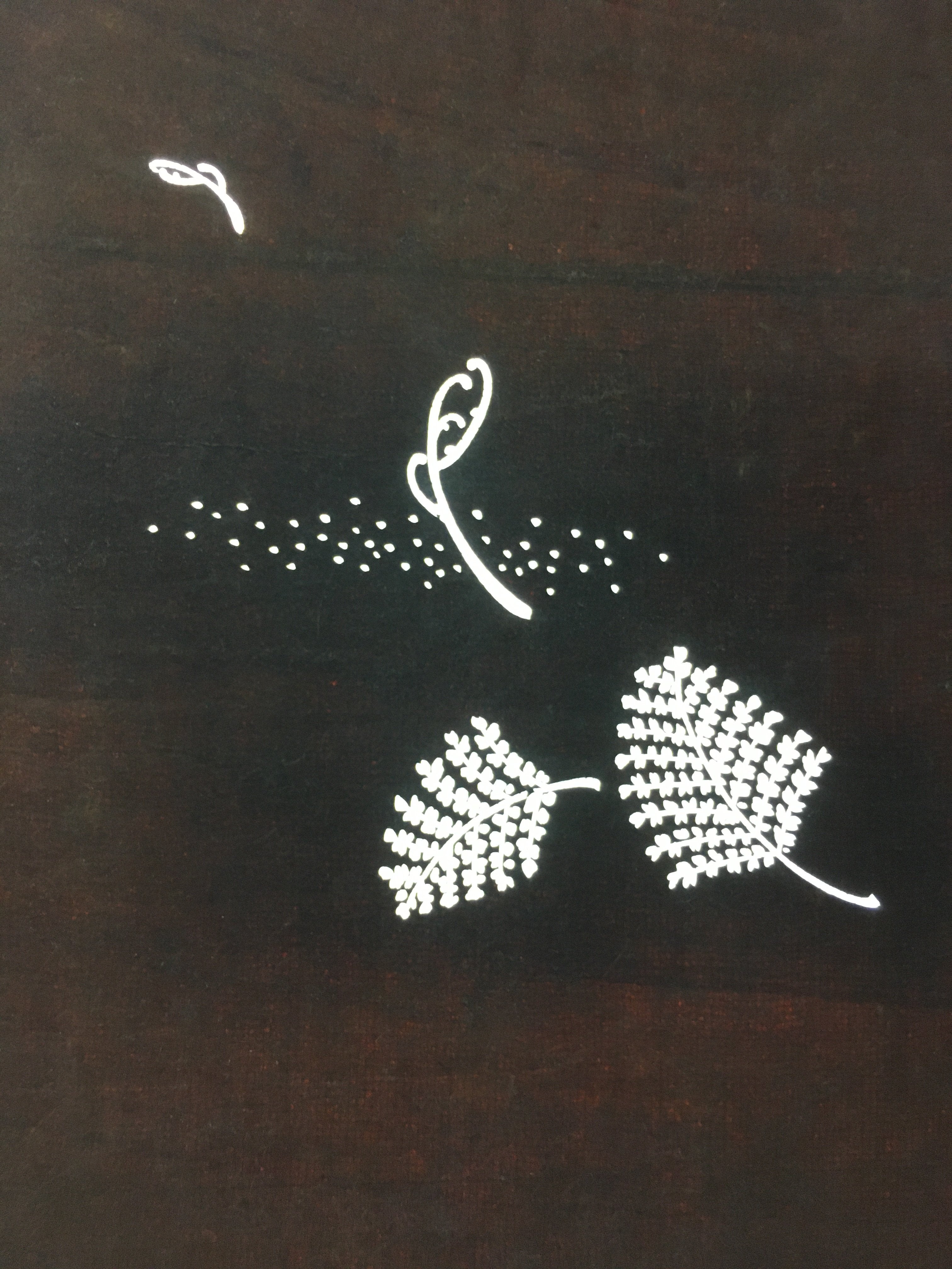 Antique Japanese Katagami Kimono Stencil Katazome Fern Leaf C737