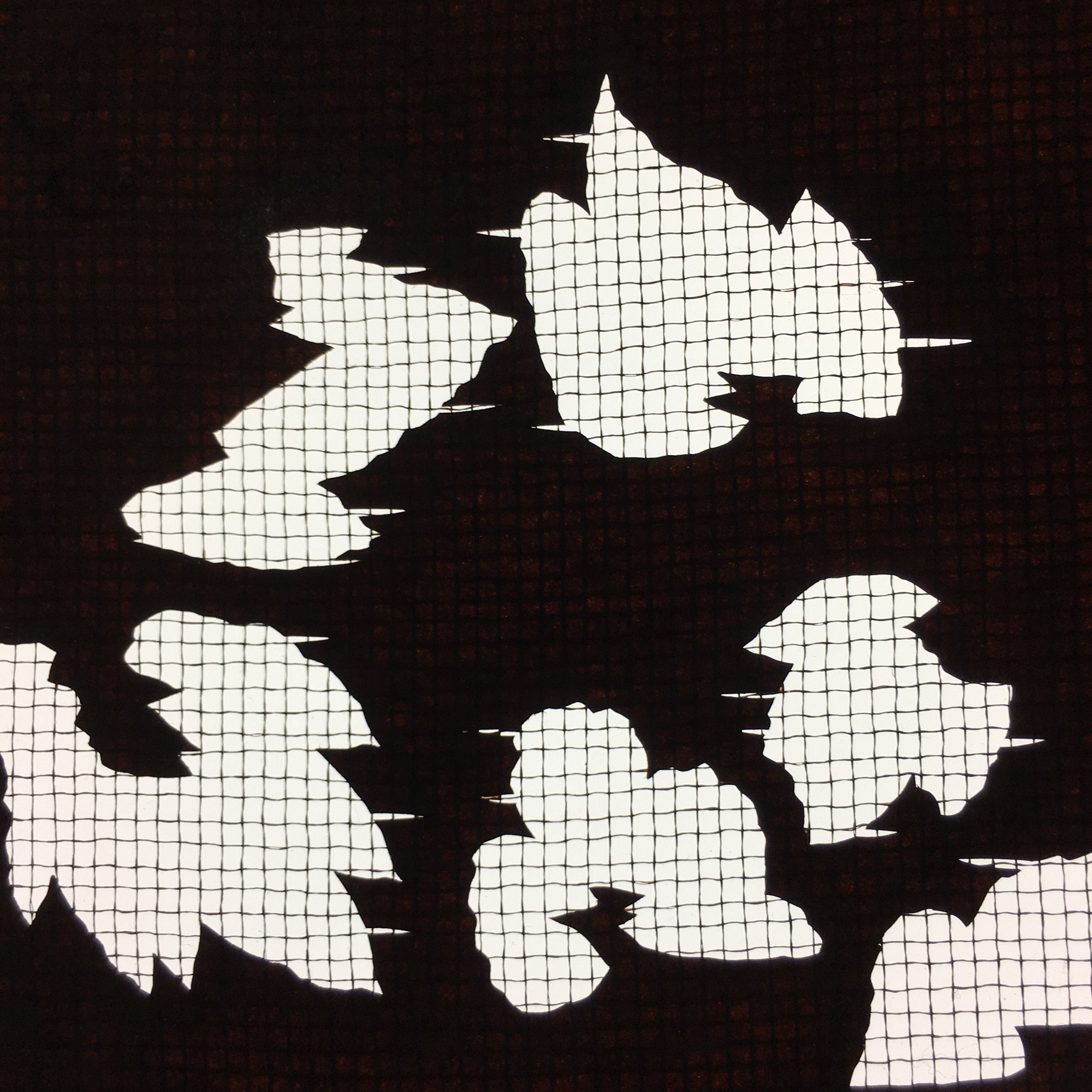 Antique Japanese Katagami Kimono Stencil Katazome Flower Leaf Shapes Meiji C331