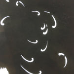 Antique Japanese Katagami Kimono Stencil Katazome Flower Petal Design C603