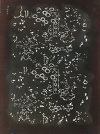 Antique Japanese Katagami Kimono Stencil Katazome Flowers And Leaves C787
