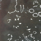 Antique Japanese Katagami Kimono Stencil Katazome Flowers And Leaves C787