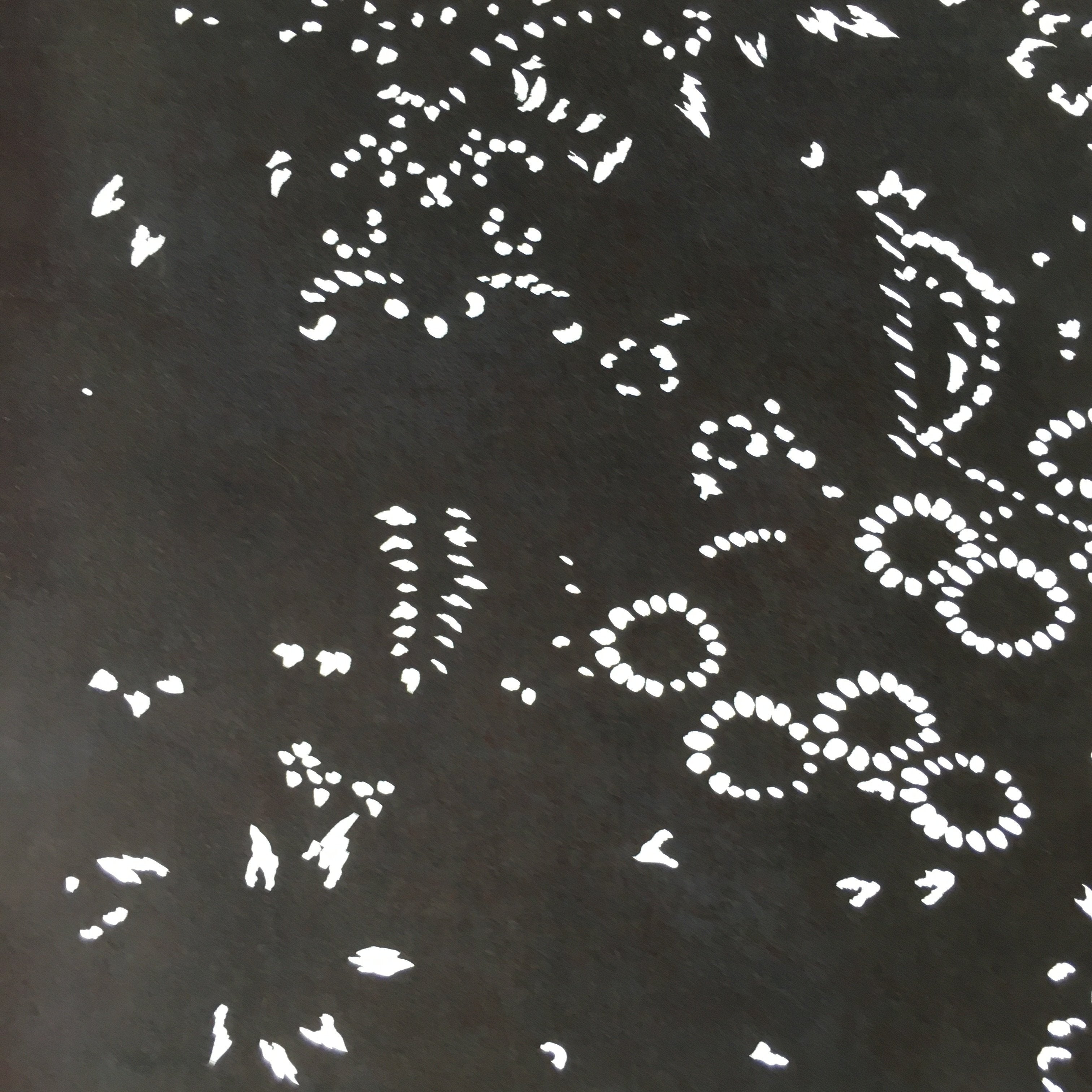 Antique Japanese Katagami Kimono Stencil Katazome Flowers And Leaves C787