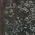 Antique Japanese Katagami Kimono Stencil Katazome Flowers And Leaves C787