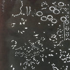 Antique Japanese Katagami Kimono Stencil Katazome Flowers And Leaves C787