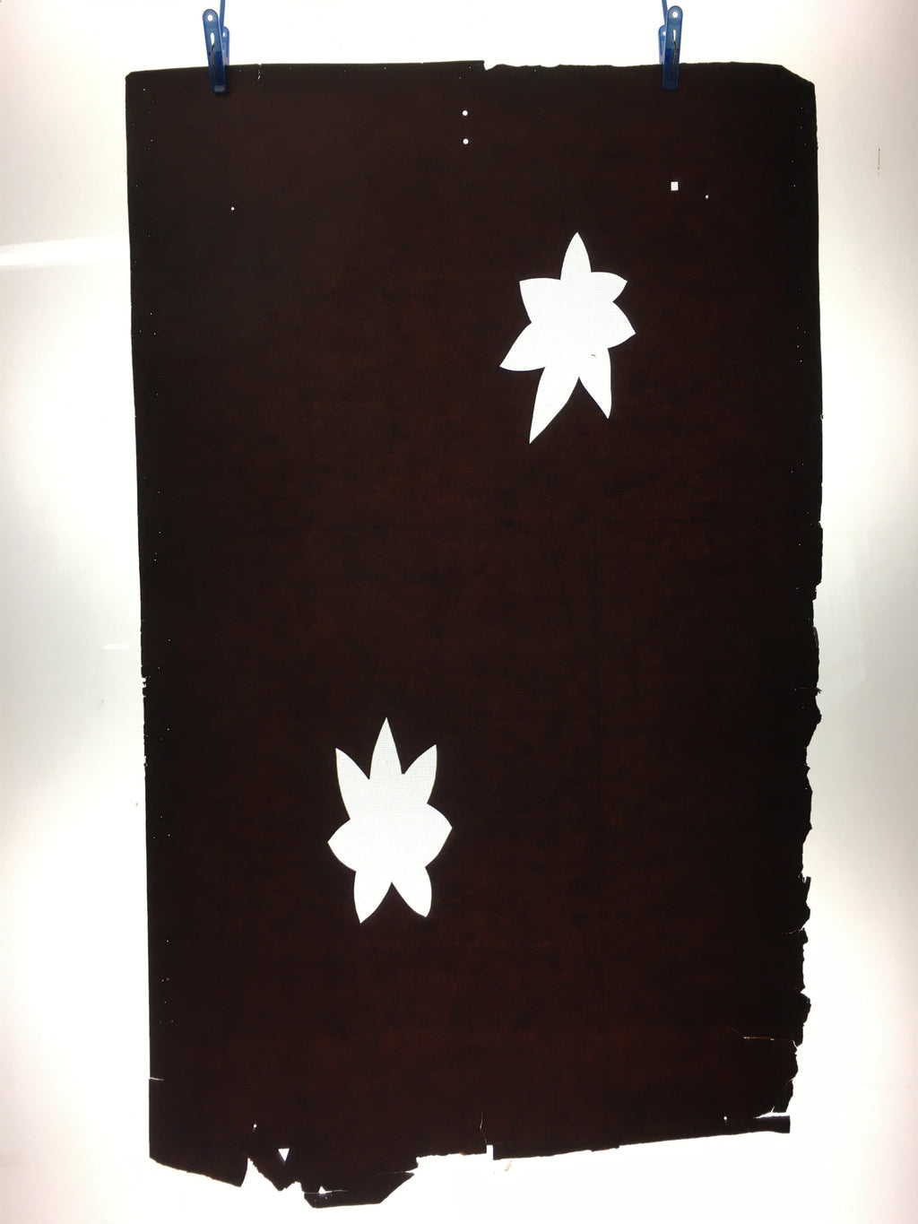 Antique Japanese Katagami Kimono Stencil Katazome Leaf Autumn Maple C765