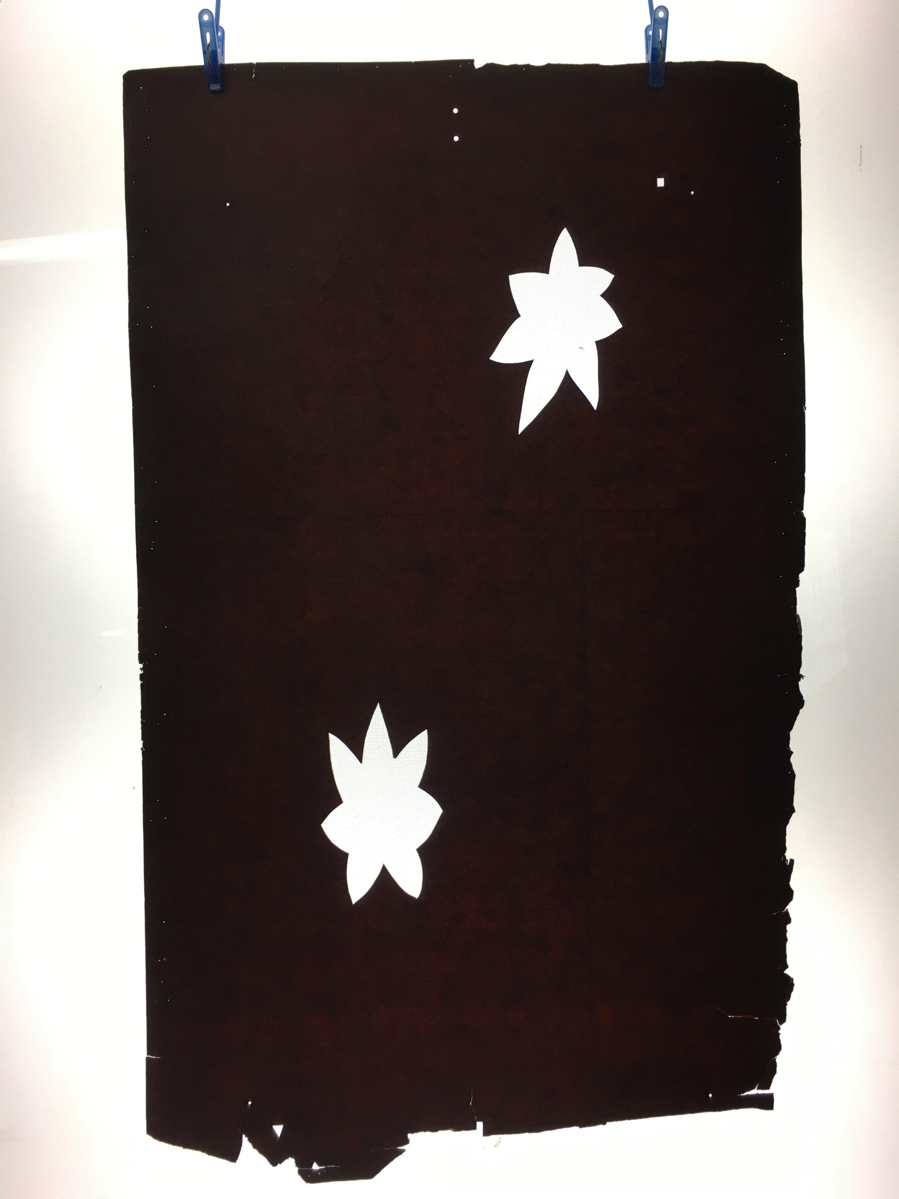 Antique Japanese Katagami Kimono Stencil Katazome Leaf Autumn Maple C765