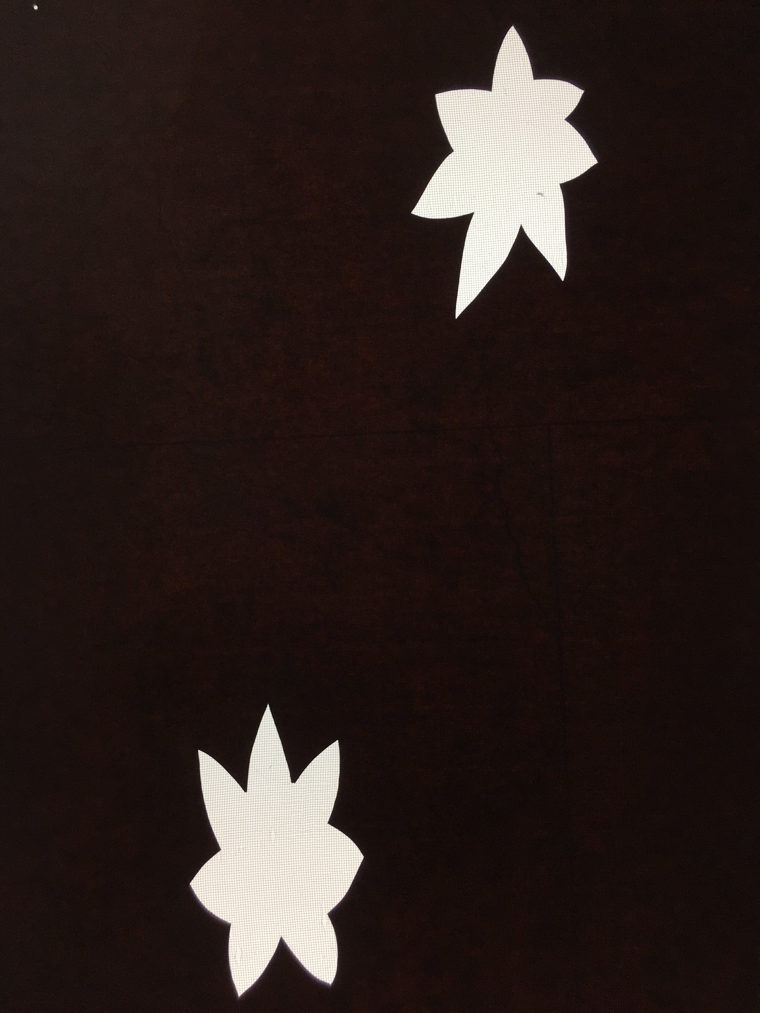 Antique Japanese Katagami Kimono Stencil Katazome Leaf Autumn Maple C765