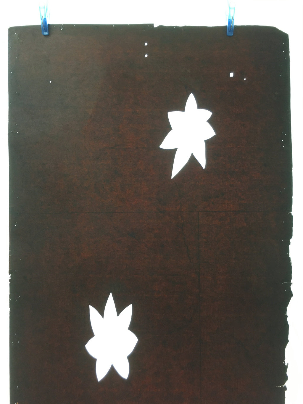 Antique Japanese Katagami Kimono Stencil Katazome Leaf Autumn Maple C765