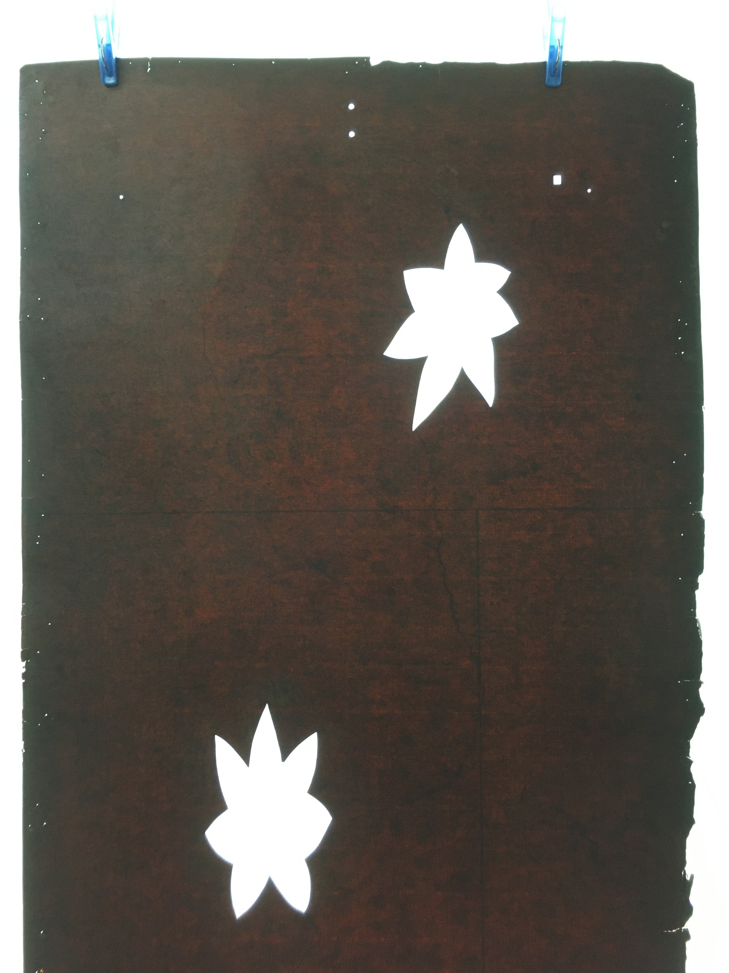 Antique Japanese Katagami Kimono Stencil Katazome Leaf Autumn Maple C765