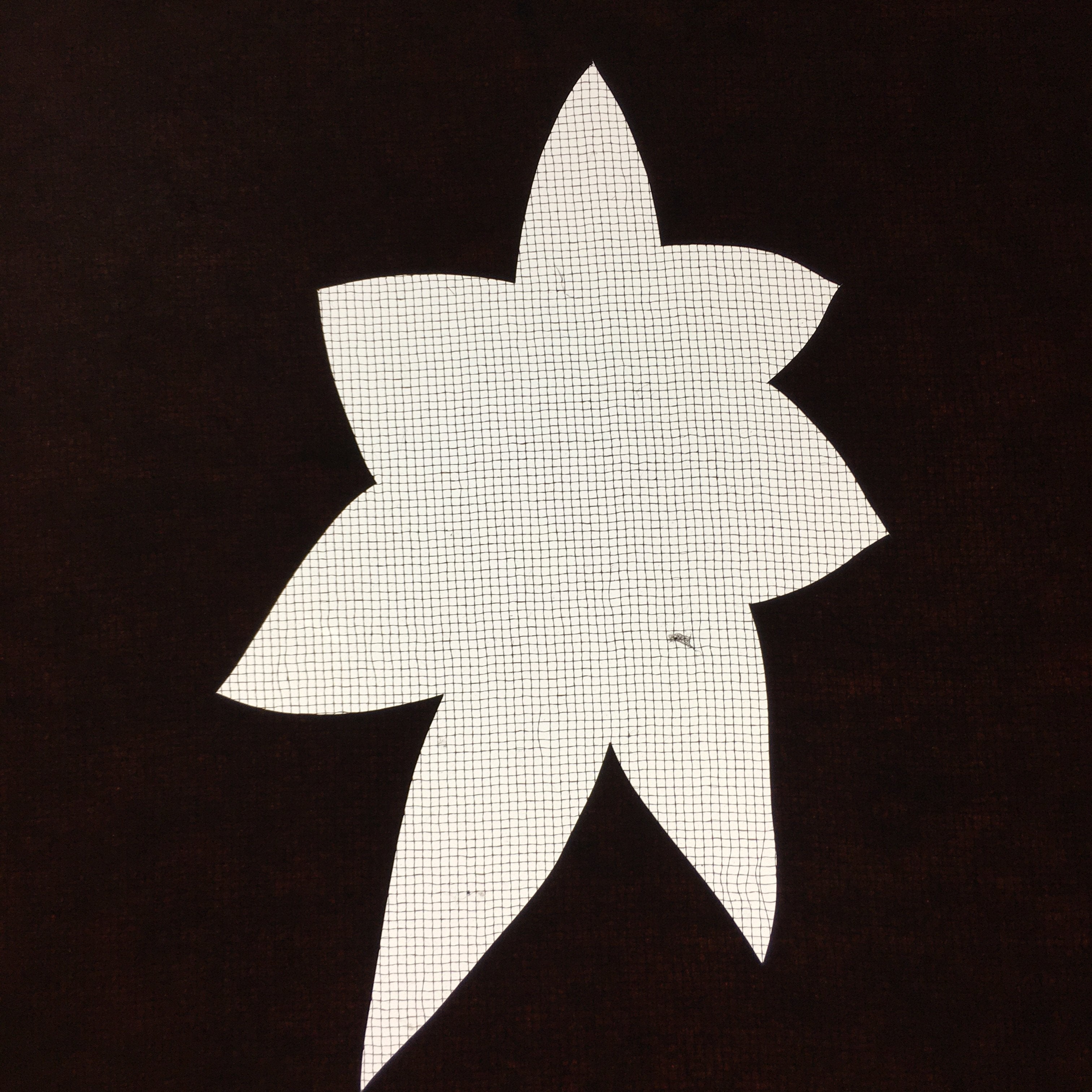 Antique Japanese Katagami Kimono Stencil Katazome Leaf Autumn Maple C765