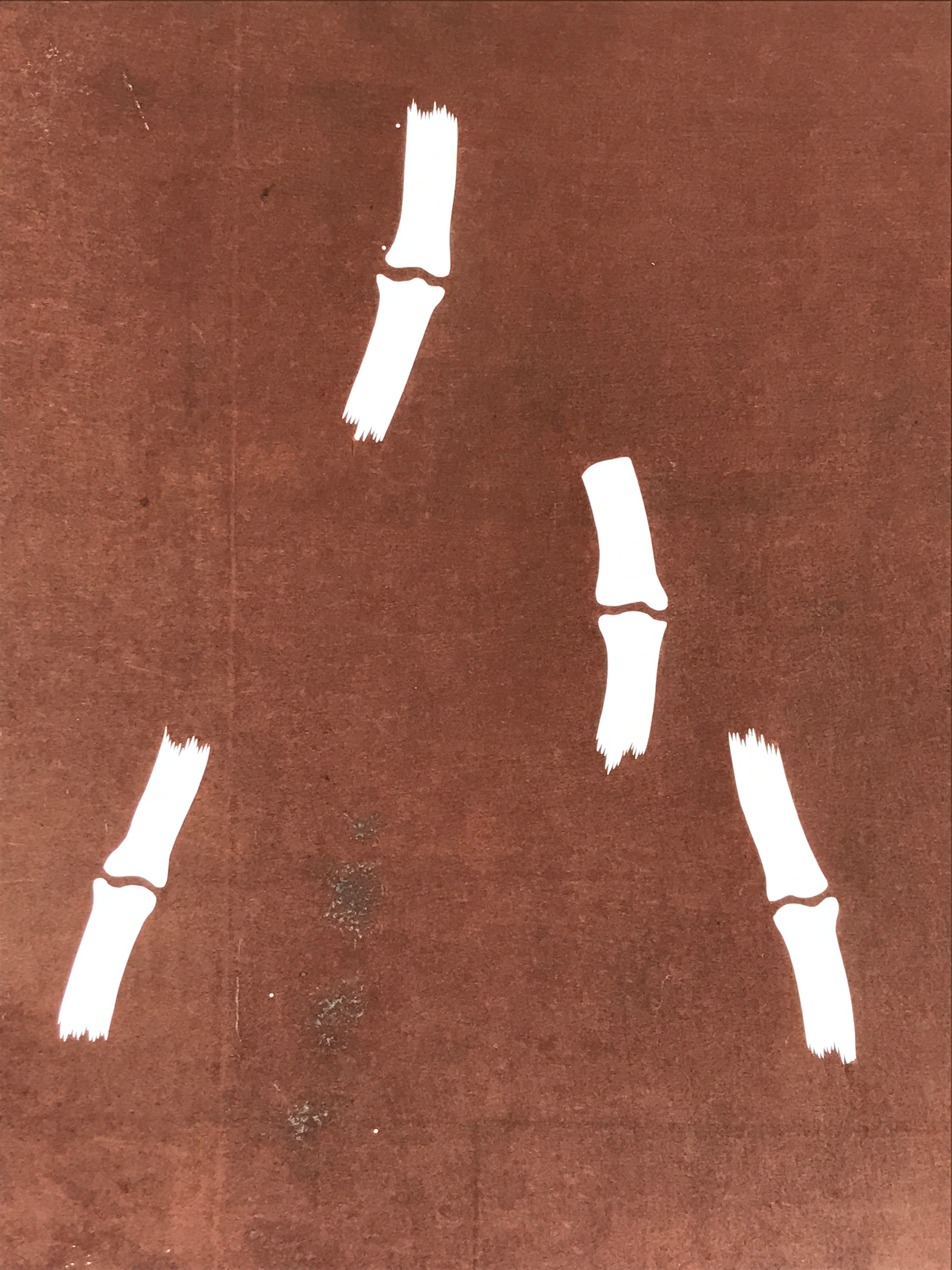 Antique Japanese Katagami Kimono Stencil Katazome Meiji Bamboo Design 4Y446