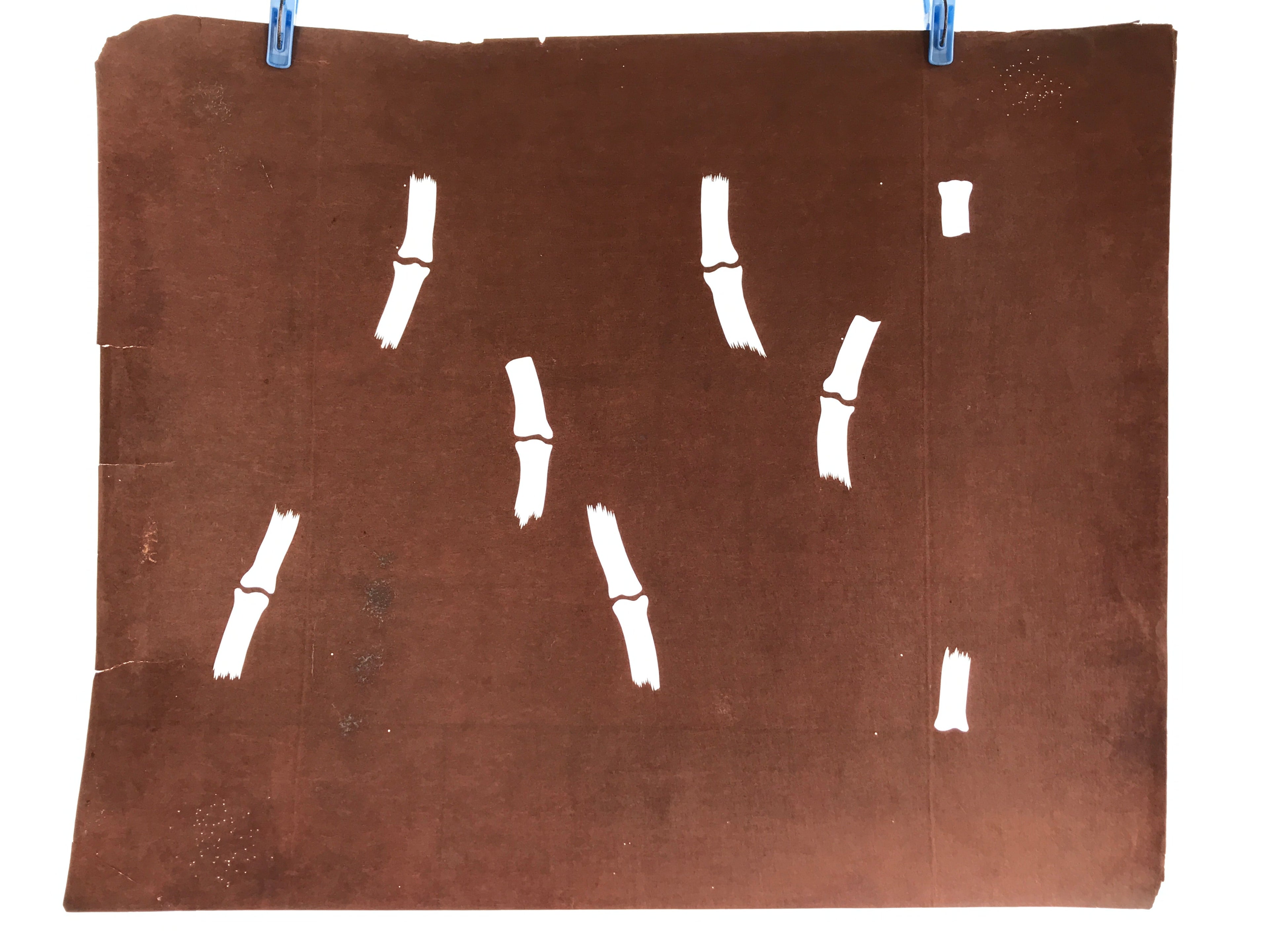 Antique Japanese Katagami Kimono Stencil Katazome Meiji Bamboo Design 4Y446