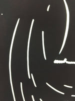 Antique Japanese Katagami Kimono Stencil Katazome Meiji Design C412