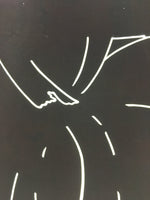 Antique Japanese Katagami Kimono Stencil Katazome Meiji Design C412