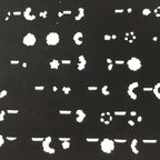 Antique Japanese Katagami Kimono Stencil Katazome Meiji Flower Design 4Y322