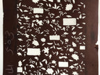 Antique Japanese Katagami Kimono Stencil Katazome Meiji Plant Design 4Y428