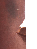 Antique Japanese Katagami Kimono Stencil Katazome Meiji Plant Design 4Y428