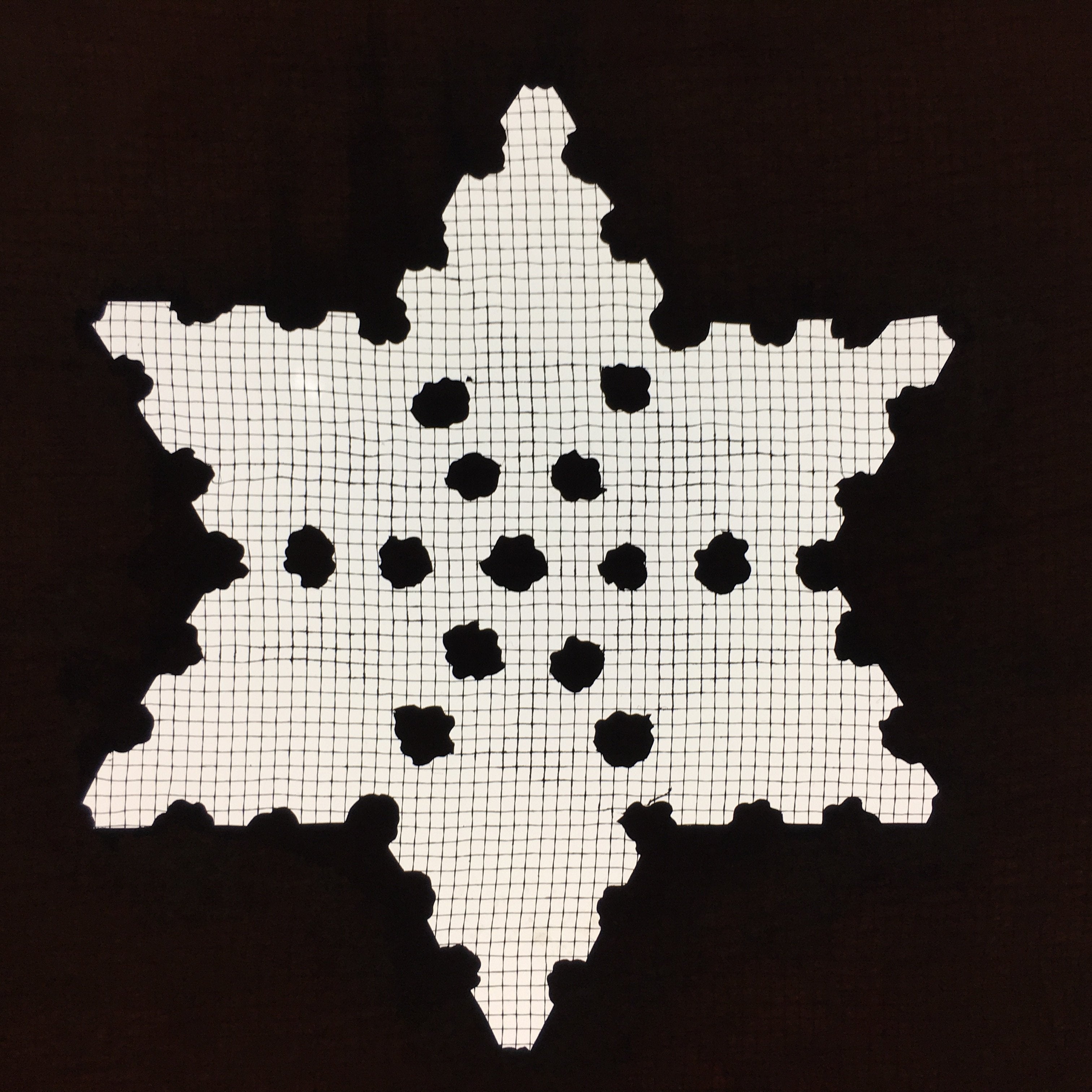 Antique Japanese Katagami Kimono Stencil Katazome Meiji Snow Crystal Star C353