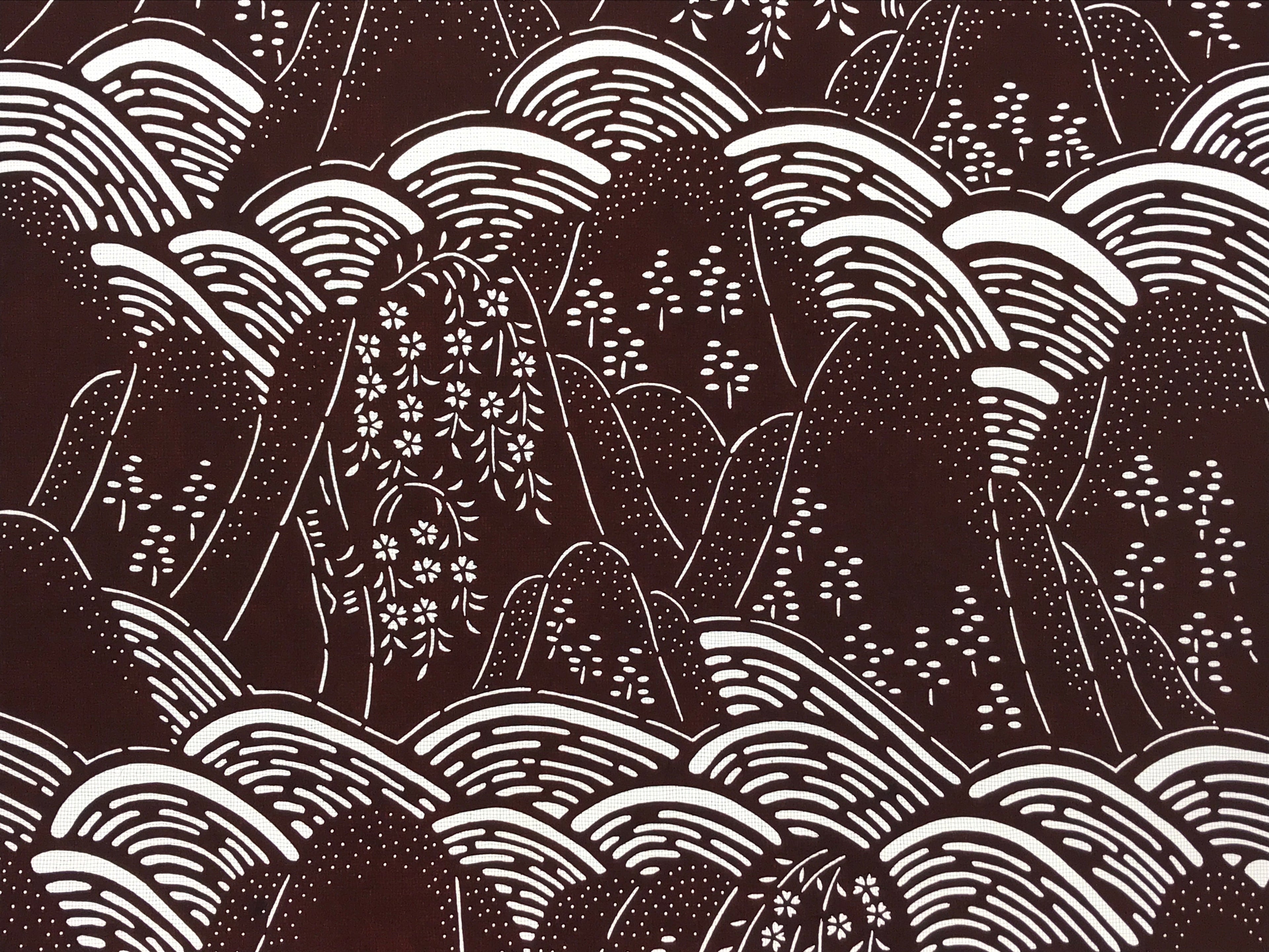 Antique Japanese Katagami Kimono Stencil Katazome Mountain Valley Forest 4Y498