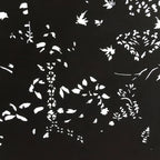 Antique Japanese Katagami Kimono Stencil Katazome Plants And Flowers C779