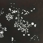 Antique Japanese Katagami Kimono Stencil Katazome Small Plant Leaves C780