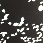 Antique Japanese Katagami Kimono Stencil Katazome Small Plant Leaves C781