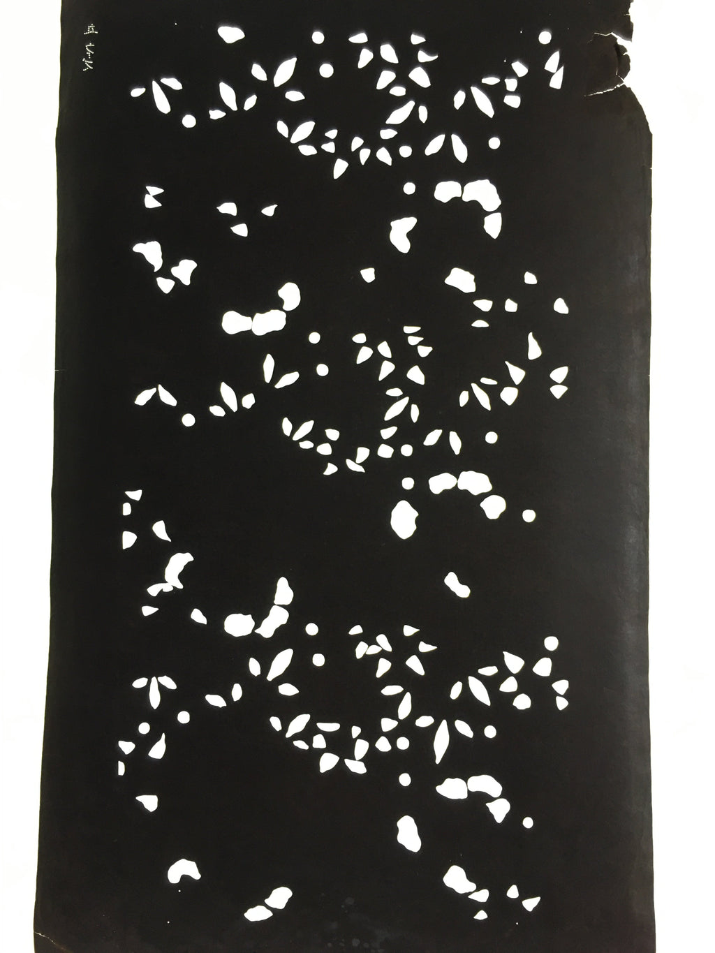 Antique Japanese Katagami Kimono Stencil Katazome Small Plant Leaves C781