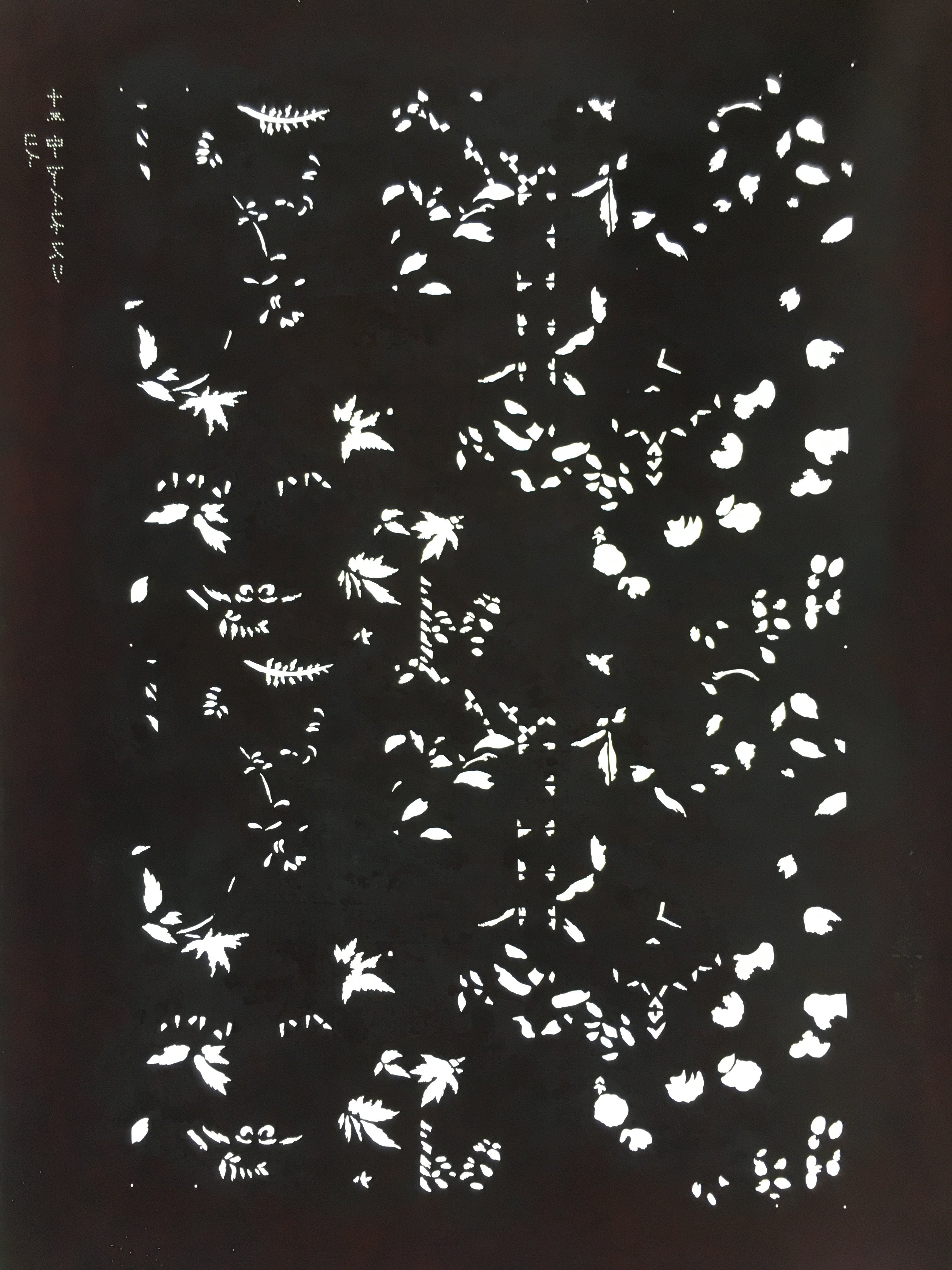 Antique Japanese Katagami Kimono Stencil Katazome Small Plant Leaves C784