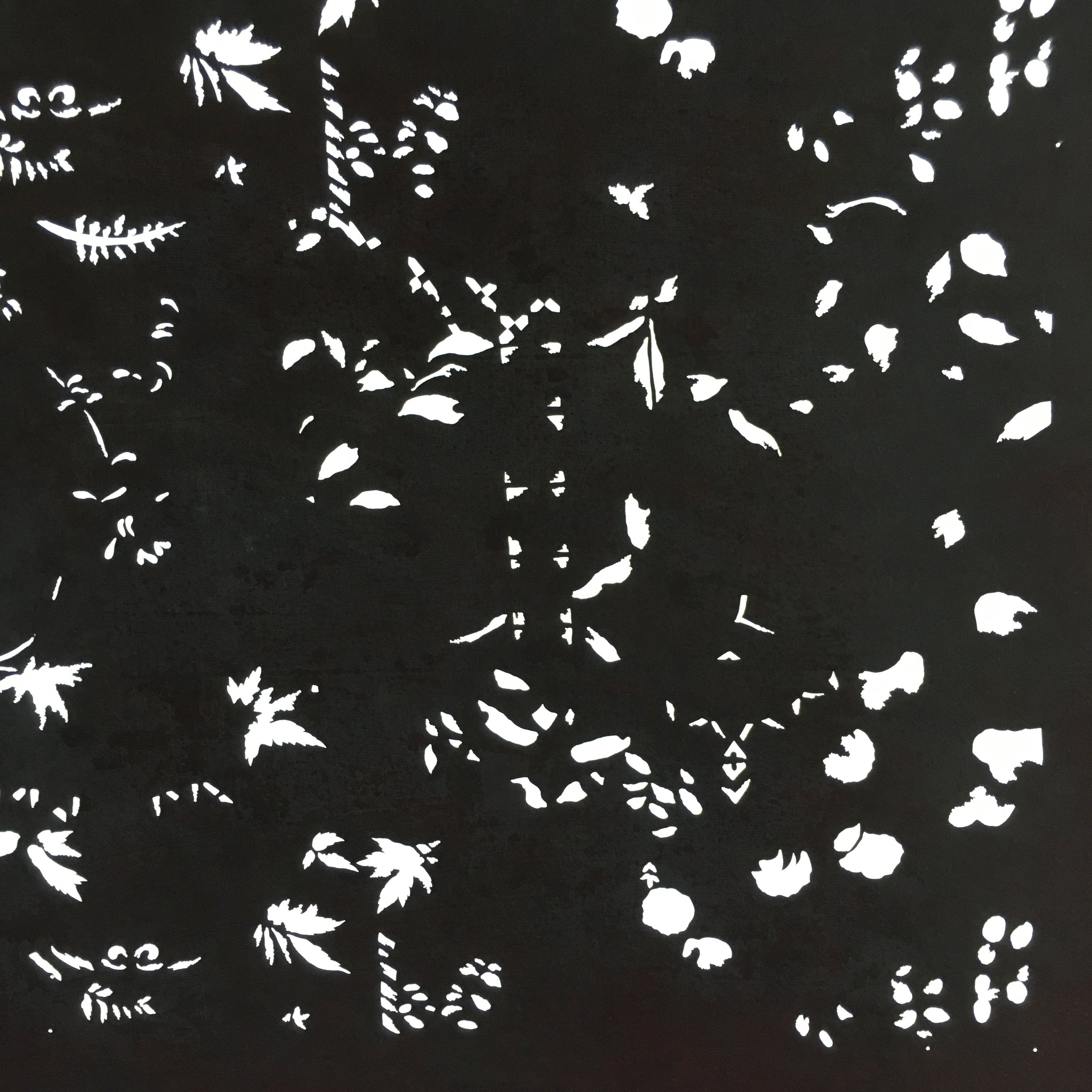 Antique Japanese Katagami Kimono Stencil Katazome Small Plant Leaves C784