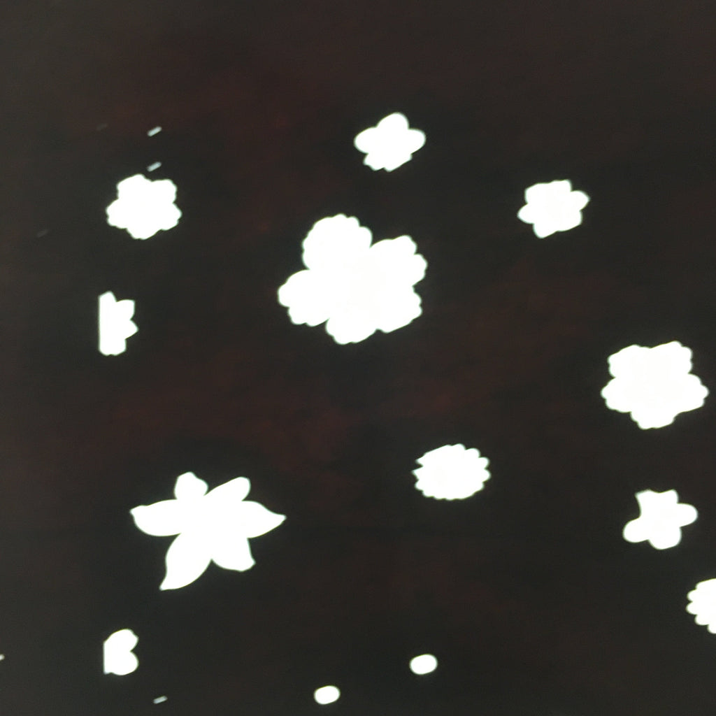 Antique Japanese Katagami Paper Kimono Stencil Katazome Design Flower Leaf C828