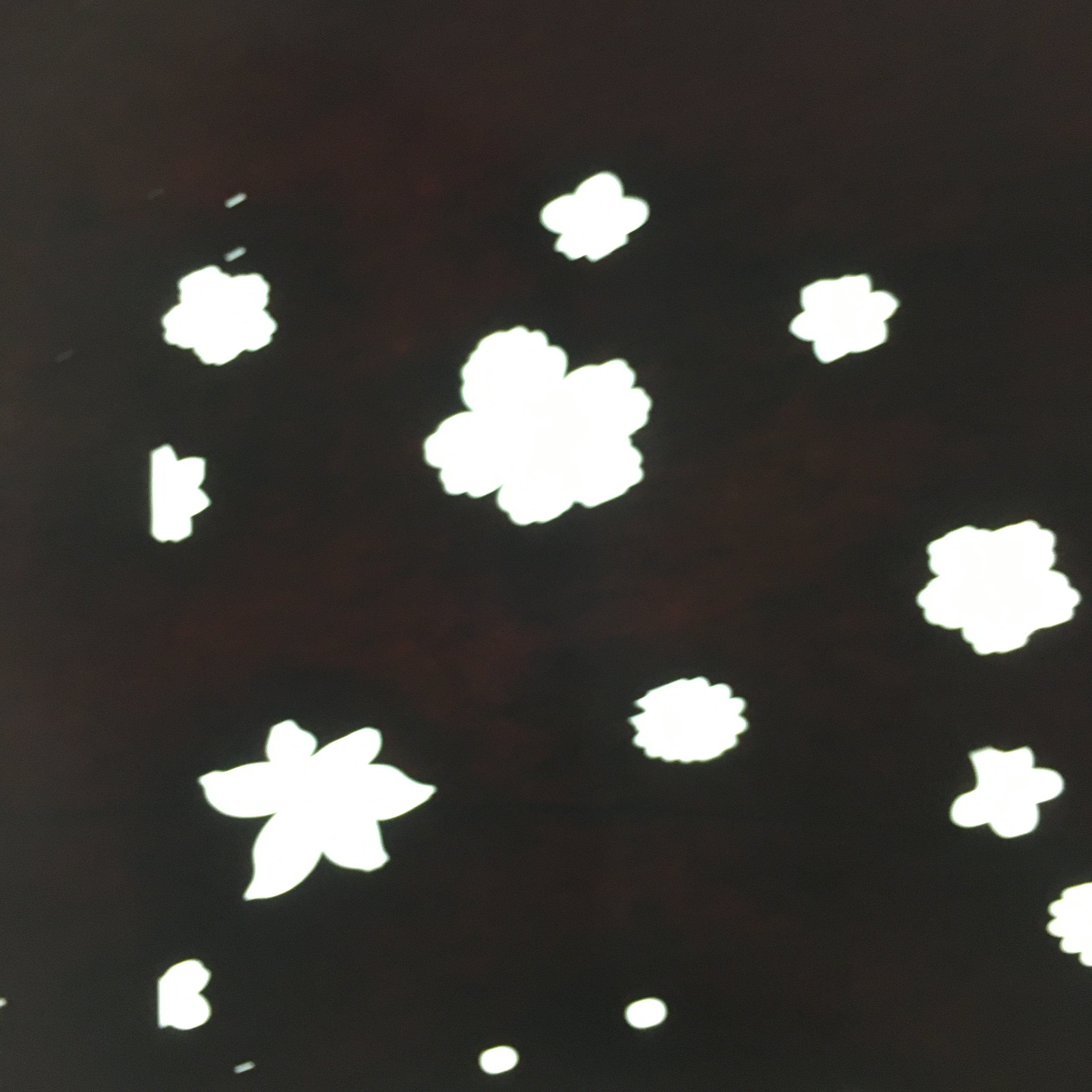 Antique Japanese Katagami Paper Kimono Stencil Katazome Design Flower Leaf C828