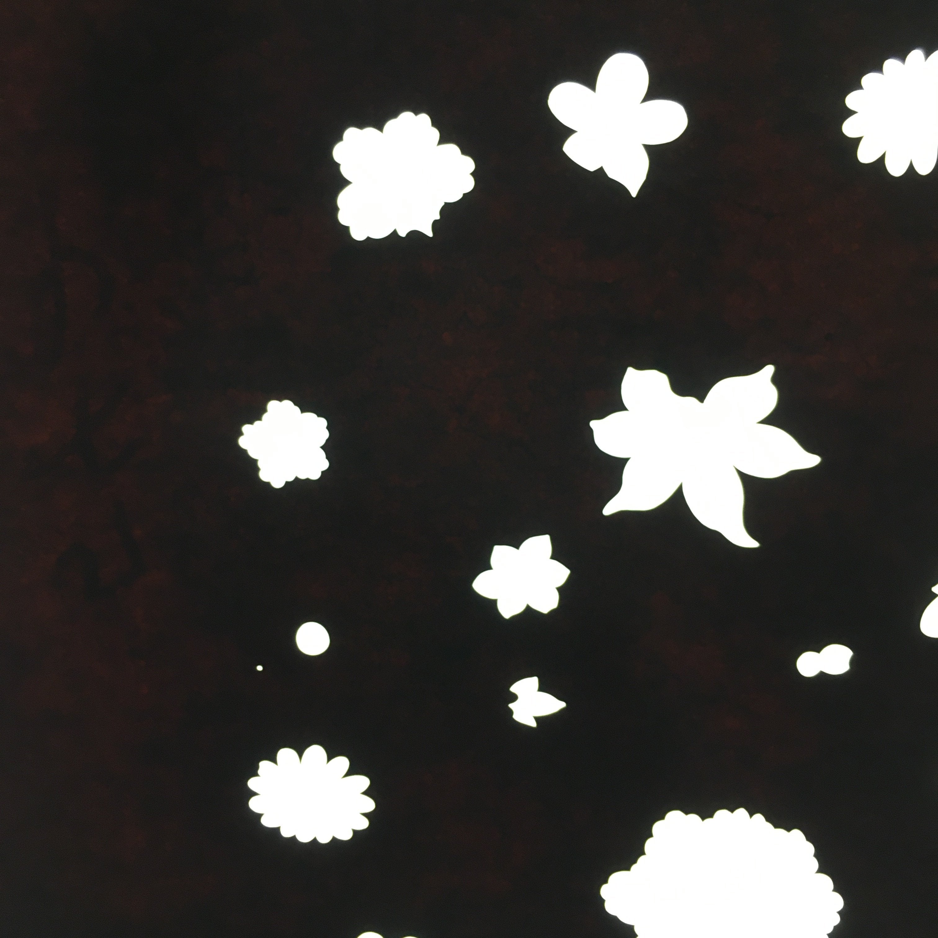 Antique Japanese Katagami Paper Kimono Stencil Katazome Design Flowers C823