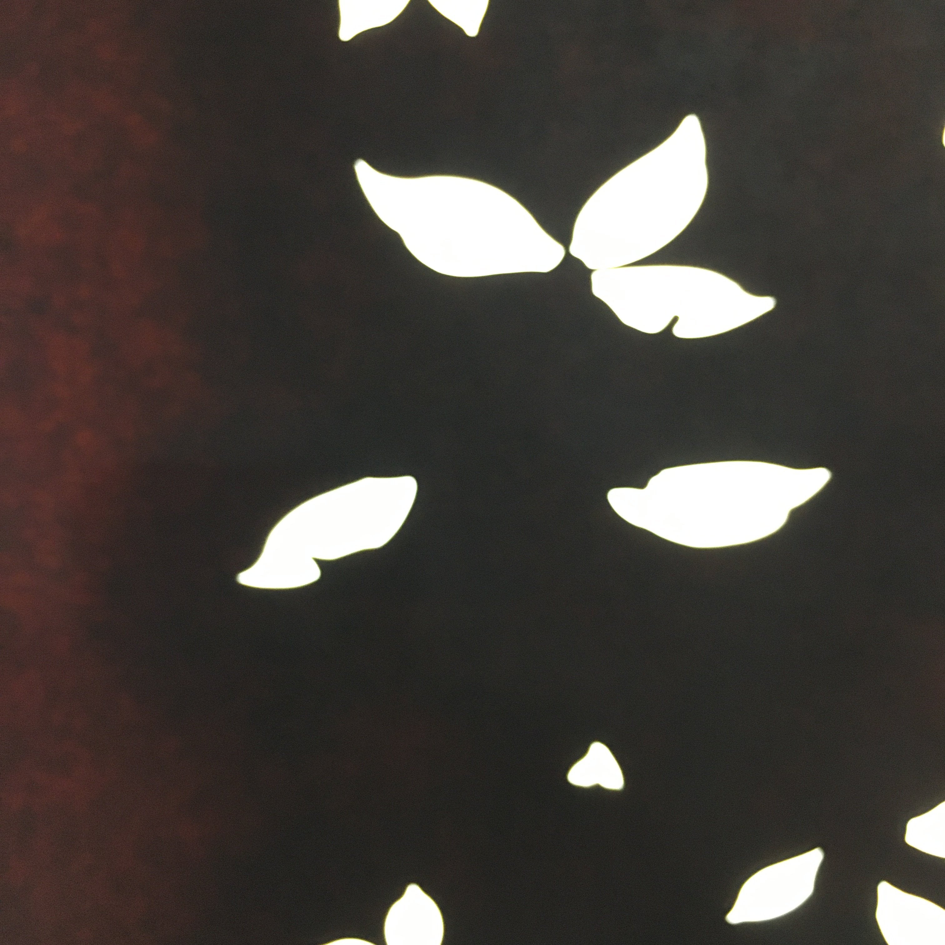 Antique Japanese Katagami Paper Kimono Stencil Katazome Design Petal C824
