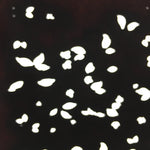 Antique Japanese Katagami Paper Kimono Stencil Katazome Design Petal C824