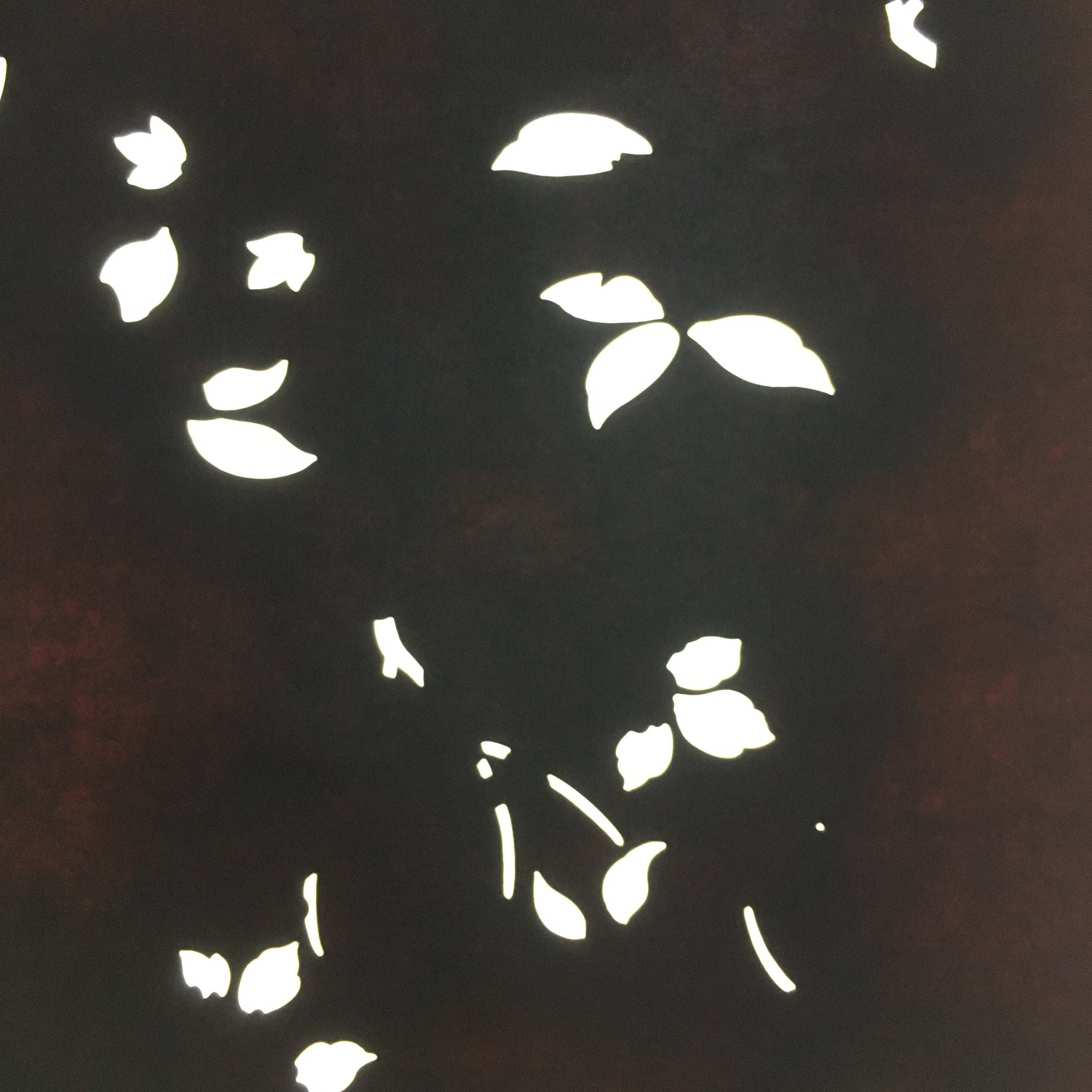 Antique Japanese Katagami Paper Kimono Stencil Katazome Design Petal C827