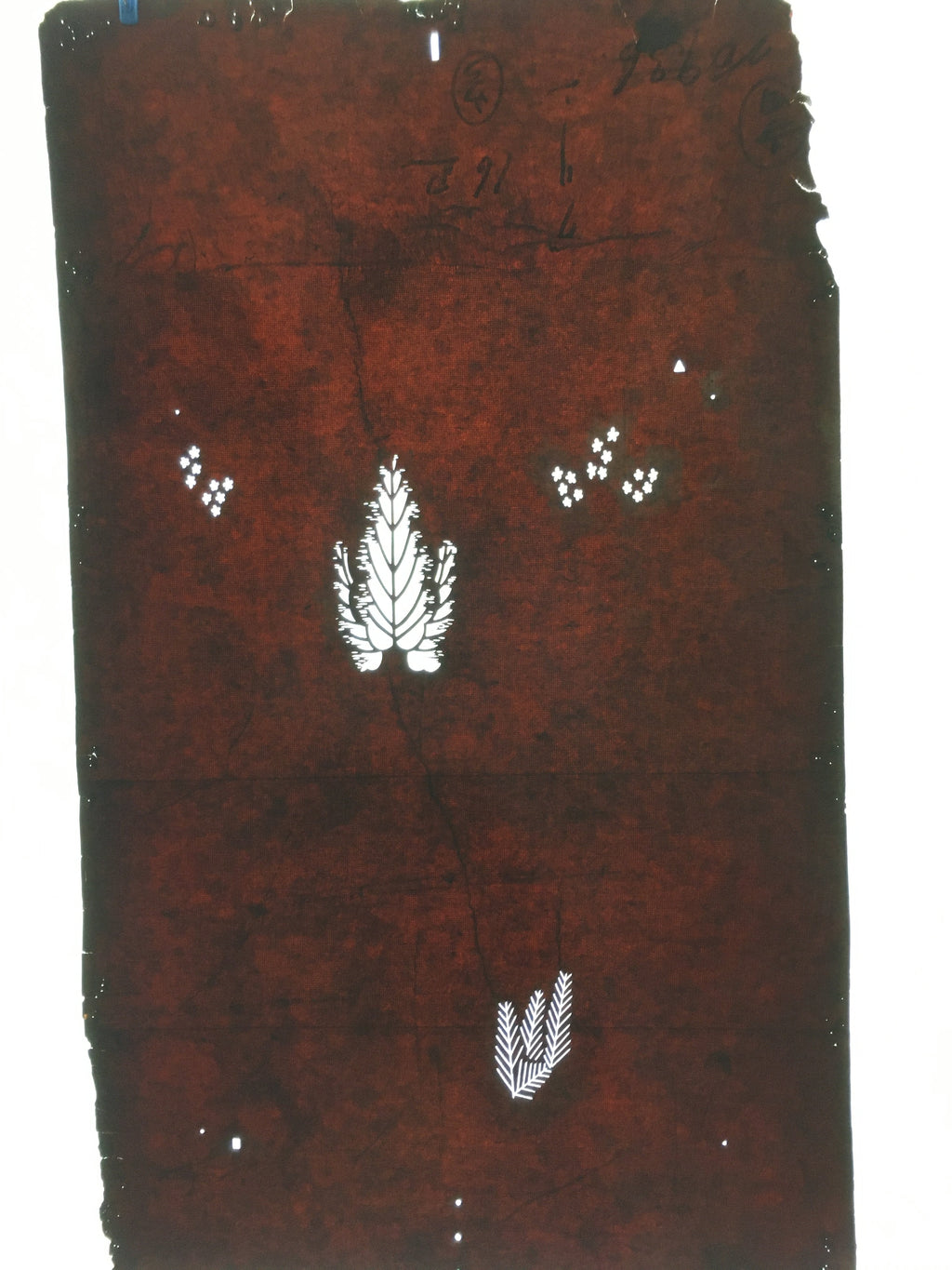 Antique Japanese Katagami Paper Kimono Stencil Katazome Design Pine Leaf C816