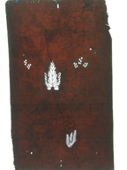 Antique Japanese Katagami Paper Kimono Stencil Katazome Design Pine Leaf C816