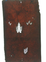 Antique Japanese Katagami Paper Kimono Stencil Katazome Design Pine Leaf C816