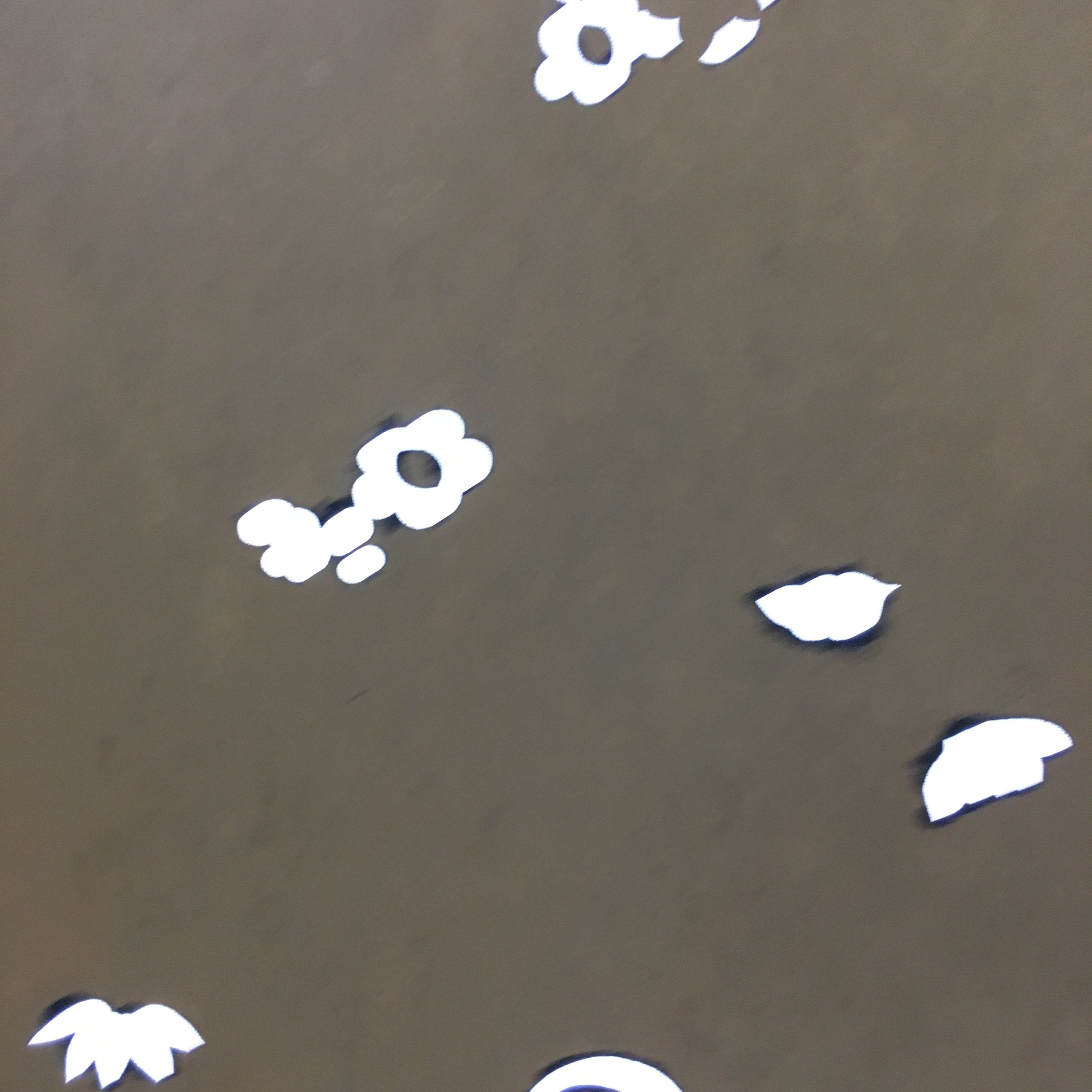 Antique Japanese Katagami Paper Kimono Stencil Katazome Floral Design C635