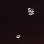 Antique Japanese Katagami Paper Kimono Stencil Katazome Flower Pattern C855