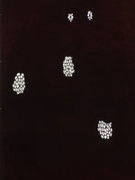 Antique Japanese Katagami Paper Kimono Stencil Katazome Flower Pattern C855