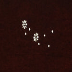 Antique Japanese Katagami Paper Kimono Stencil Katazome Flower Pattern C857