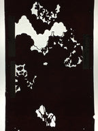 Antique Japanese Katagami Paper Kimono Stencil Katazome Garden Pattern C864
