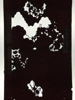 Antique Japanese Katagami Paper Kimono Stencil Katazome Garden Pattern C864